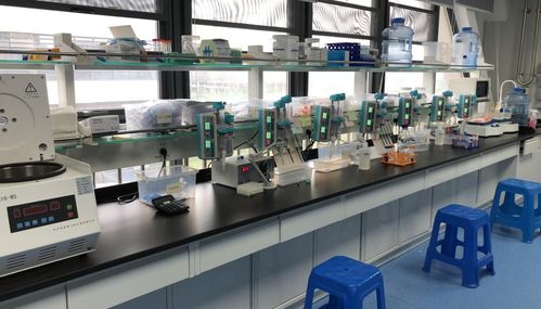 早篩新星天浚元生生物獲國高生物戰投，開啟健康與環保跨界創新